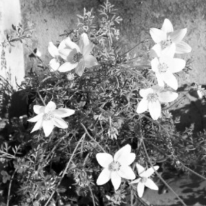 “Don’t define your world in black and white, because there is so much hiding amongst the greys.”